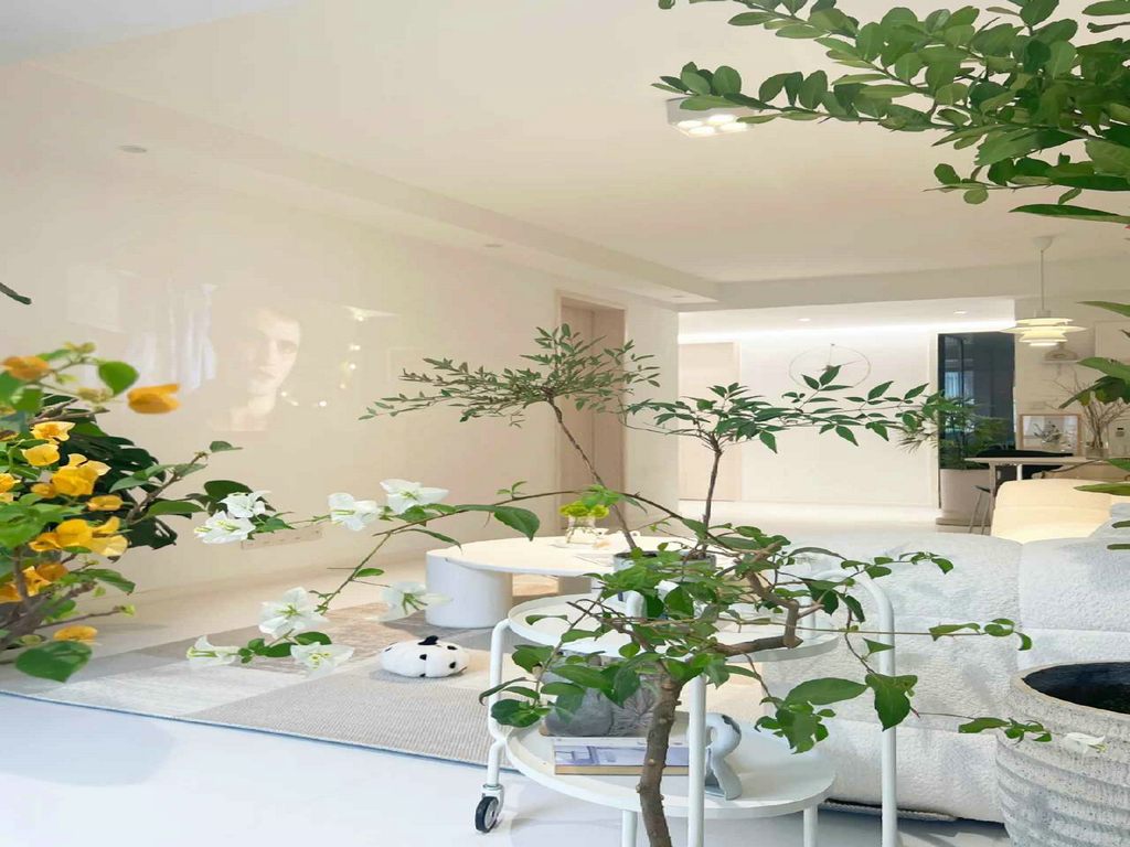 龙发装饰建议绿色植物法治理装修污染.jpg